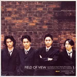 views lyrics|field of view 歌詞.